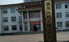 山东省淄博市淄川区岭子卫生院口腔科