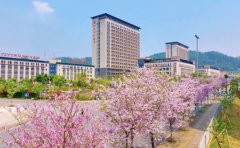 柳州市中医医院口腔科