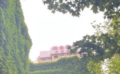 上海瑞金医院卢湾分院整形美容科